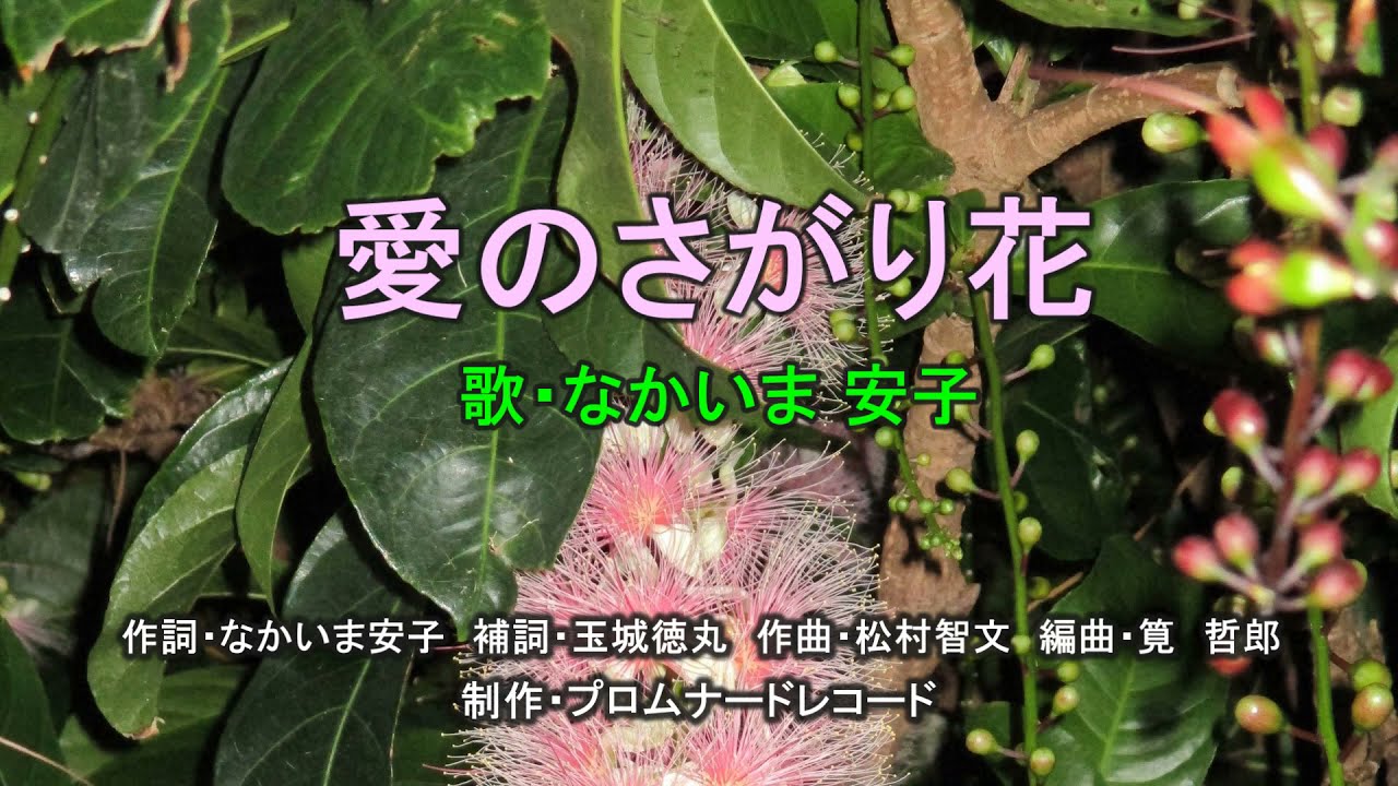 愛のさがり花 歌 なかいま安子 Youtube