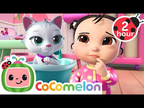 Kitty Cat Playtime With Cece! 😺 | Sing Along | Learn about Animals