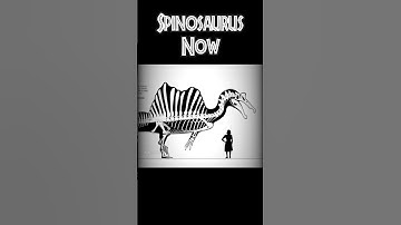Spinosaurus got a BUFF 💀 - Edit. #shorts #jurassicworld #jurassicpark #spinosaurus #dinosaur