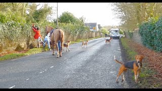 Hounds in Cry,  Limerick & Tipperary