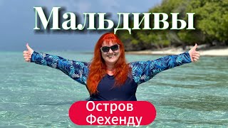 видео: РАЙ ЗА КОПЕЙКИ. Мальдивы 2024 🇲🇻 о.ФЕХЕНДУ (Fehendhoo) Пляж только для двоих. Отель Tropical Tree. картинка: РАЙ ЗА КОПЕЙКИ. Мальдивы 2024 🇲🇻 о.ФЕХЕНДУ (Fehendhoo) Пляж только для двоих. Отель Tropical Tree.