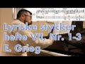 Miniature de la vidéo de la chanson Lyriske Stykker Hefte 7, Op. 62: Iii. Fransk Serenade (French Serenade)