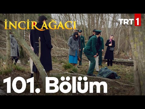 İncir Ağacı 101. Bölüm