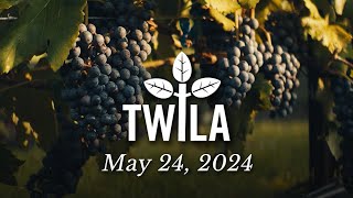TWILA—May 24, 2024