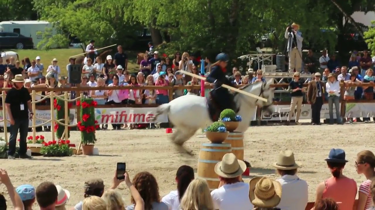 FIENE, DANIELLE 927, NED   World Championship Working Equitation 2018