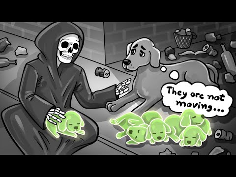 Real Pet Stories Depicted (Comic Movie)