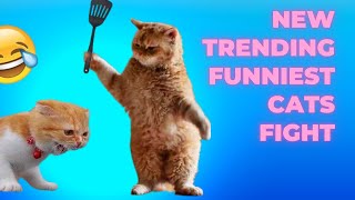 1 hour new trending funniest cats fight- funniest cats and dogs 2023 by Awesome Animals Creature Chronicles 452 views 6 months ago 1 hour, 2 minutes