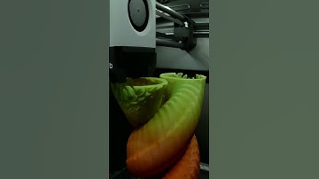 Dual Worm Dice Tower | Timelapse