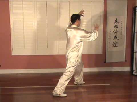 Yang Style Tai Chi Long Form 108 Taiji 2