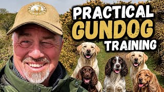 Are Cocker Spaniels Really Overrated ….?
