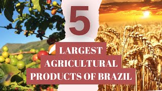 Brazil: The Land of Diversity