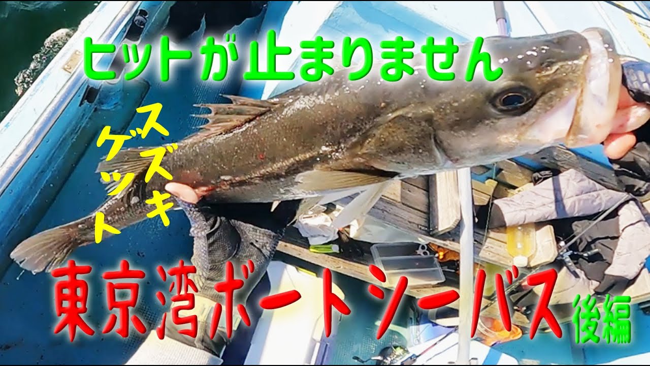 東京湾ボートシーバス 2 2後編 ついに大物キャッチ ルアーゲームが楽しすぎる 終了間際に連続ヒットで夢の大台乗せできるのか Youtube