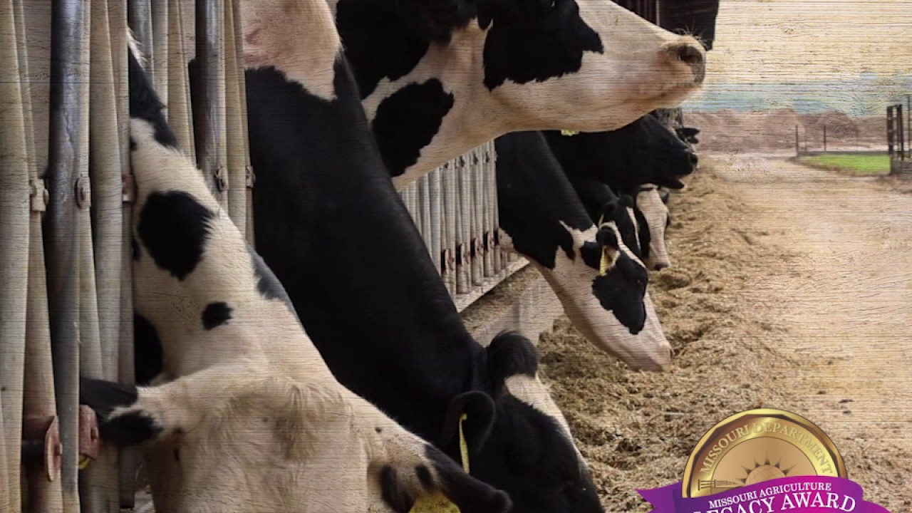 video phone beyonce mp3 Arlen Schwinke - 2016 Missouri Dairy Legacy Award Winner