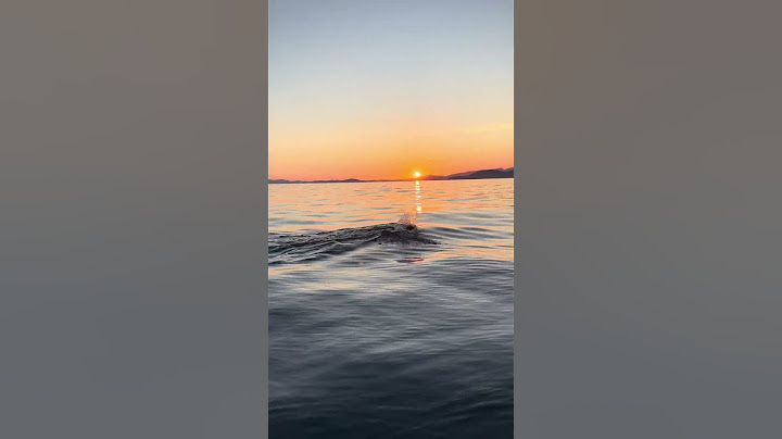 J’ai encore du mal à croire que j’ai nagé 100km en pleine mer 🥺 #swimming