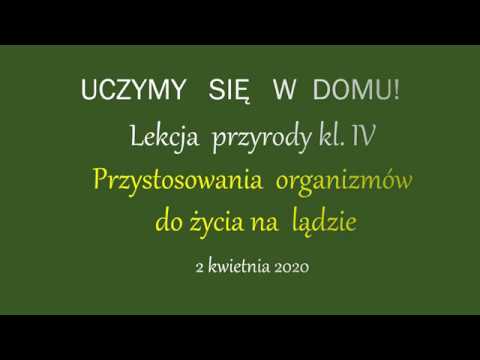 Wideo: Jakie są przystosowania roślin do życia na lądzie?