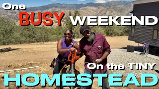 WATER at Last💦 Our 2nd BIGGEST HOMESTEAD Upgrade Yet #offgrid #homestead #tinyhouse #vegogarden