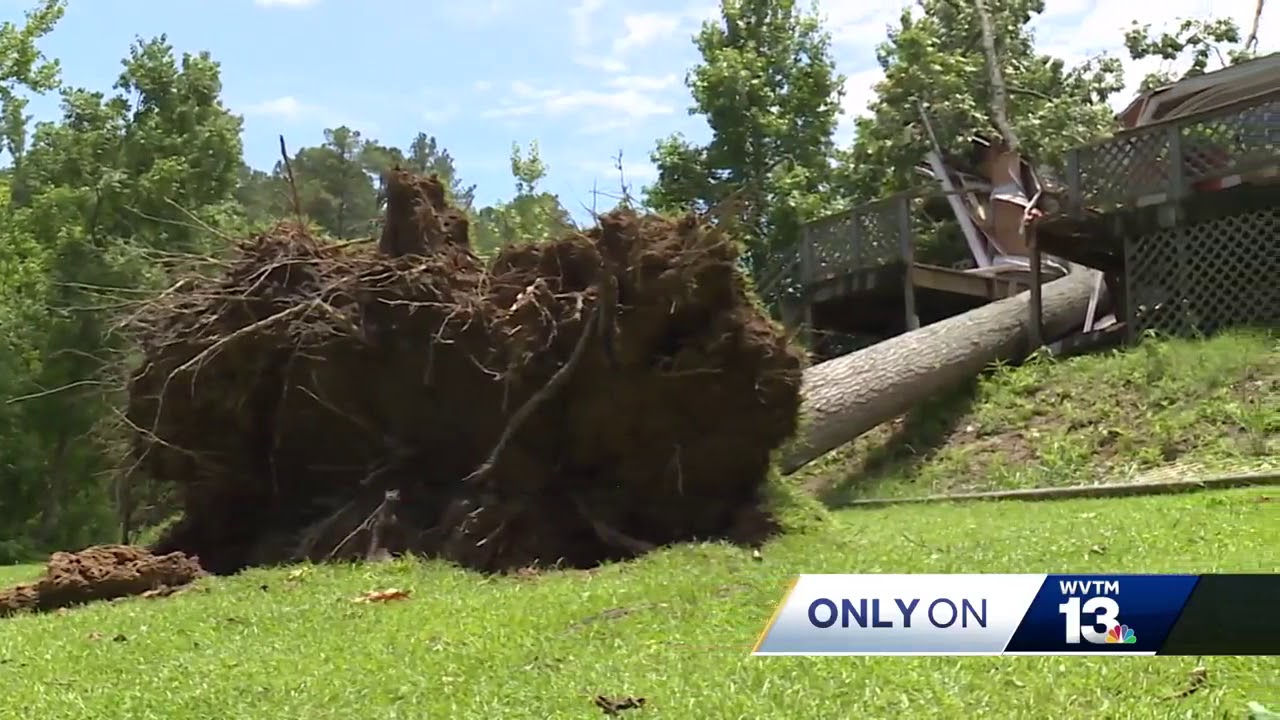 Etowah County man thankful to be alive after tree crashes onto bed ...
