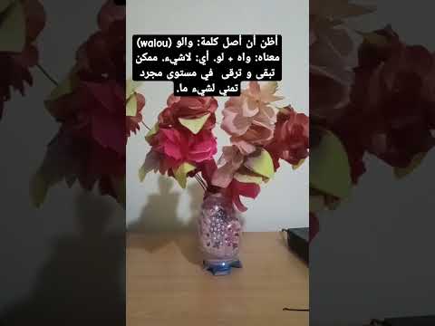 تخمينات لأصل كلمة والو