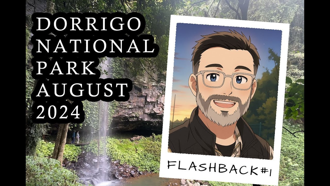 FLASHBACK  Dorrigo National Park – August 2024