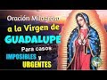 MIRACULOUS PRAYER TO THE VIRGIN OF GUADALUPE FOR IMPOSSIBLE AND URGENT CASES