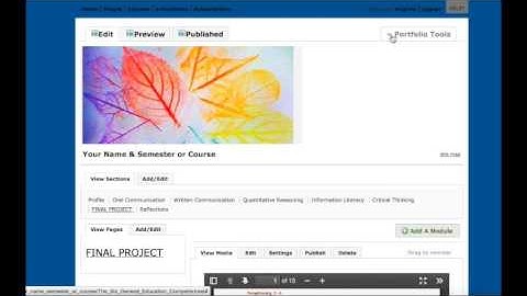 Submitting in Digication