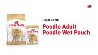 Royal Canin Poodle Adult & Poodle Wet Pouch