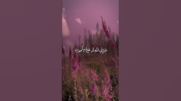 آيات من القرآن الكريم 💞 سورة الحديد 💞 الآية 4