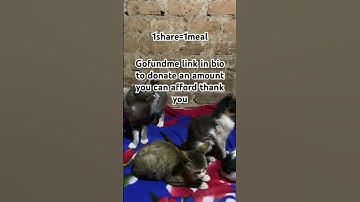 If you stay for 15s and write random words to boost this video you’re a kind person thank you 🙏🙏