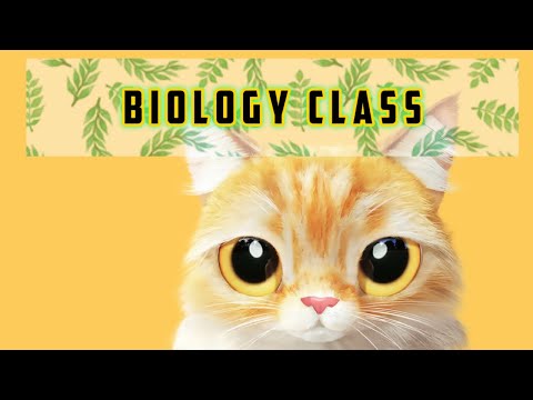 BIOLOGY CHAPTER 3 CLASS 29