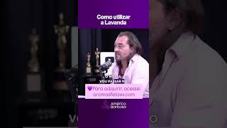 Como utilizar a lavanda