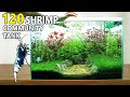 Building an epic planted shrimp tank step by step aquascape tutorial with co2