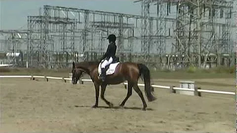 140D Rebecca Severt at Ram Tap Horse Trials Dressa...