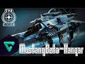 Star Citizen: Mustang Beta Hangar Overview