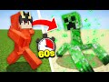 Minecraft But Every 60s Im A New MUTANT