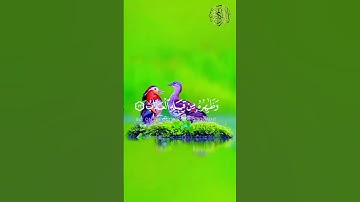 ماتيسر من #سورة_الحديد للقارئ #محمد_النقيدان #تلاوة_خاشعة #القرآن_الكريم #المصحف #اكسبلور
