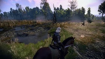 The Witcher 3 [SweetFX by Pashanemashi]