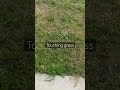 Vtuber touches grass for first time