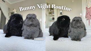 Bunny Night Routine 2022🤍 by Dumbo and Bear 963 views 1 year ago 2 minutes, 23 seconds