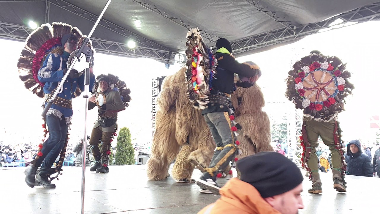 Ursii de la Draganesti 2020