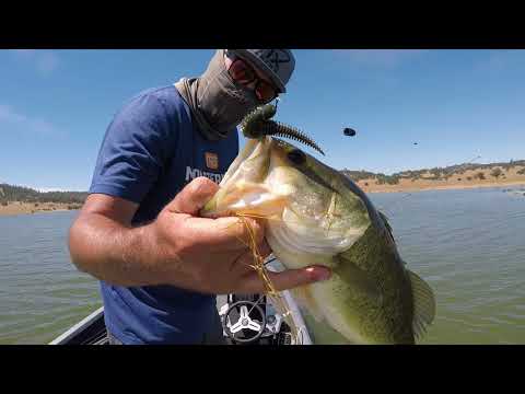 Early summer bass fishing Salt Springs & Woodward Reservoir
