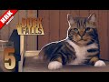บ้านมีแมวเพราะแก้วสองใบ | As Dusk Falls - Part 5