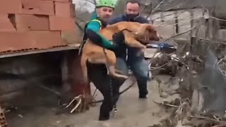 Download Lagu „Situacija je teška i neizvesna“ – uživo iz Španije koja je u vanrednom stanju zbog MARTE MP3