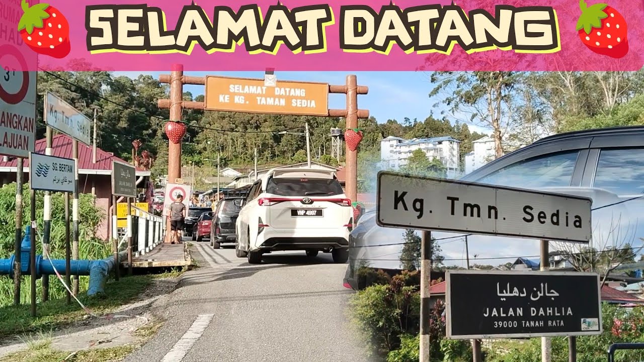 Dari Brinchang Ke Tanah Rata, Cameron Highlands