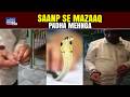 Zehreelay Saanp Se Mazaaq Mehnga Par Gaya? | Snake Bite Ke Baad Maut?