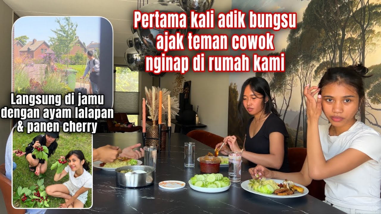 ADIK BUNGSU AJAK TEMAN COWOK NGINAP DI RUMAH KAMI, LANGSUNG DI JAMU AYAM LALAPAN DAN PANEN CHERRY