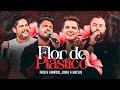 Fred e fabrcio  jorge e mateus  flor de plstico  acstico de primeira