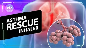 The science behind rescue inhalers (3D Animation)