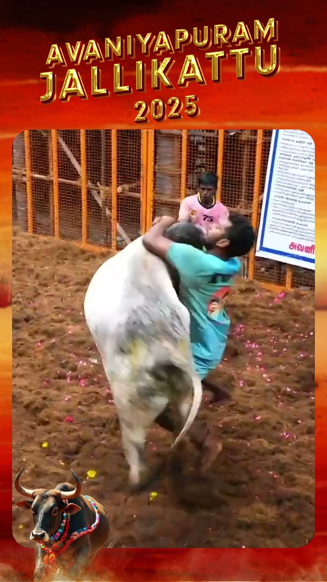 உலகப் புகழ்பெற்ற ஜல்லிக்கட்டு 2025 l Zee5 இல் இலவசமாகப் பாருங்கள்