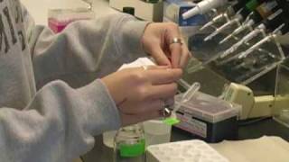 What is the A. Alfred Taubman Medical Research Institute?