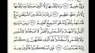 Syeikh Muammar ZA. QS. Fushilat ayat 30-39